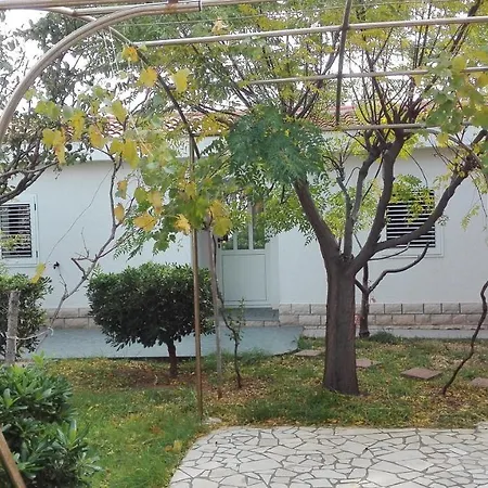 Vanja 帕格